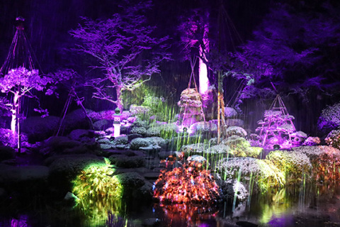 玉川寺の庭園を幻想的に演出したプロジェクションマッピング