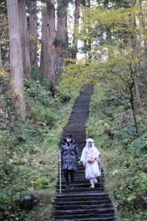 羽黒山の杉並木。羽黒高生がＣＦを活用し保全の取り組みを進めている