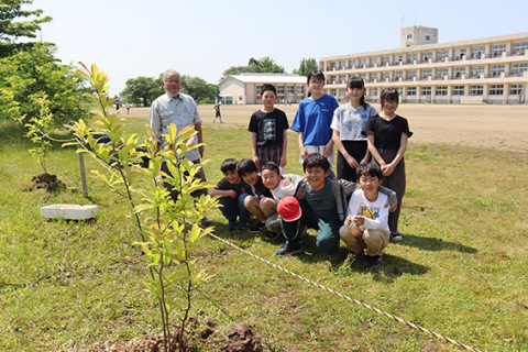 グラウンドの隅に植えたコブシの変種（左側）と羽黒小の子どもたち