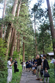 参道で行われた現地説明会。鈴木さん（左）からスギ並木の現状を聞いた