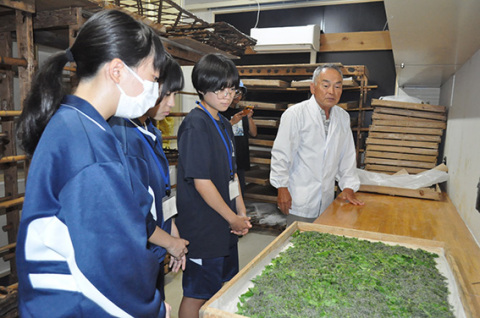 ふ化したばかりの蚕の幼虫について菅原さん（奥）の説明を受ける中学生たち