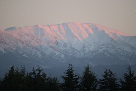 夕日に照らされオレンジ色に染まる月山＝21日午後4時すぎ