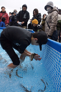 魚のつかみ取りに悪戦苦闘する子どもたち