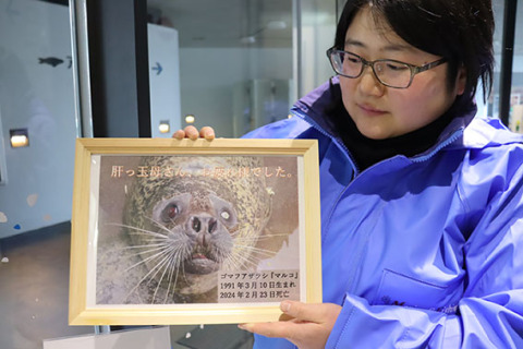 「私と同じ32歳。思い出はたくさんある」とマルコの写真を持つ伊藤さん