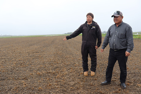 はえぬきの種もみをまいた後、土を圧縮した田んぼ。6月10日ごろ水を入れる。ほ場の状態を見る齋藤代表（右）とスタッフ