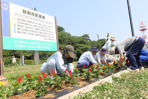 「美しいまち」にしようと、色とりどりの花を植えた＝鶴岡公園