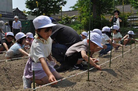 大山小の1年生たちが大豆品種「尾浦」の種を丁寧に植えた