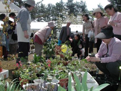 野草のフリーマーケットでは“花談議”で盛り上がった＝3日