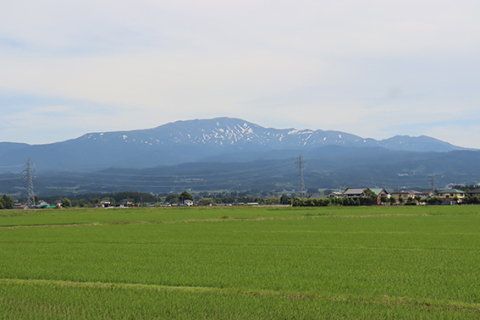 昨年6月24日に羽黒町細谷集落から撮影した月山