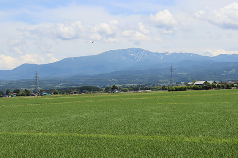 今年6月27日に同じ立ち位置から撮影。雨のため同じ日に写せなかったが昨年と比べて左側の残雪が消えている