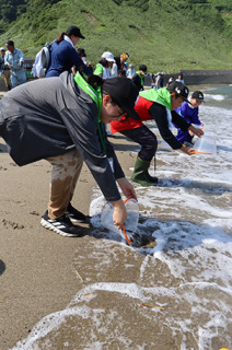 砂浜ではヒラメの稚魚の放流も行われた