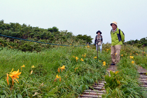 高山植物を楽しみながら登る登山客