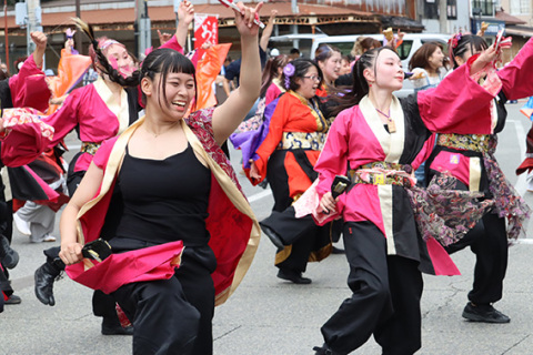 各団体の踊り手が躍動感あふれる踊りで鶴岡の夏を彩った「おぃやさ祭り」