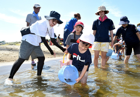 ヒラメの稚魚を放流する園児たち