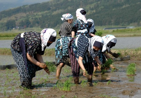 収穫の秋に思いをはせながら一生懸命に手植え