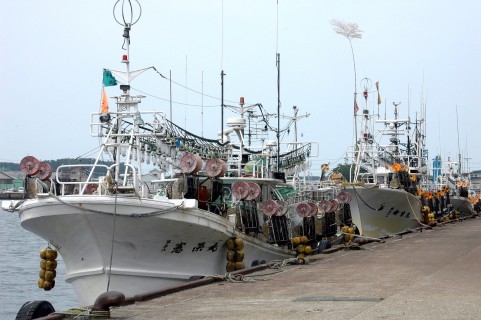 小型イカ釣り船 県内も一斉休漁 今月18、19日 燃料高騰“遠のく”漁場 