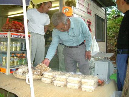 天然のキノコが並んだ「山友直売所」