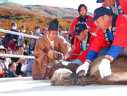 少年町長らが雄ジカの角を切り落とした