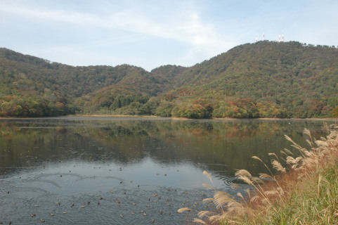 鶴岡市大山の上池・下池が国の鳥獣保護区・特別保護地区に指定。ラムサール条約に登録される運びとなった＝下池