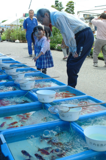 買い物客が足を止め、庄内金魚のかわいらしい姿に見入っていた