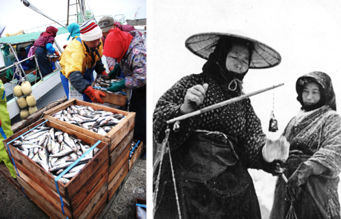 由良港で船から水揚げされる魚。藩政時代の魚屋は仕入浜制度で魚を独占した（左）　魚を量るあば。たくましさは流通形態を変えさせた（昭和10年代、相馬寿子さん提供）