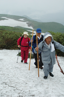 雨が降り続く中、雪渓の上を歩くなどして頂上を目指した＝1日午前9時ごろ、月山8合目付近で