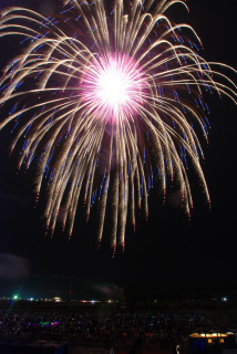 鮮やかな大輪の花が夜空を染め上げ、観客の歓声が起こった