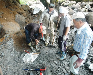 ステゴロフォドンの発掘調査を行う調査メンバー＝10日、鶴岡市田麦俣