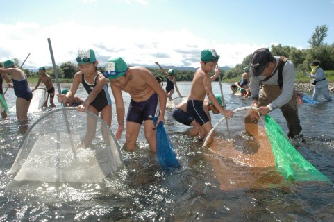 雑魚しめを通して、地元の川を知る斎小の児童たち