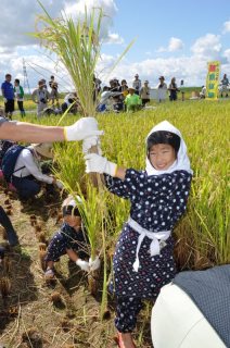 刈り取った黄金色の「つや姫」を笑顔で掲げる参加者