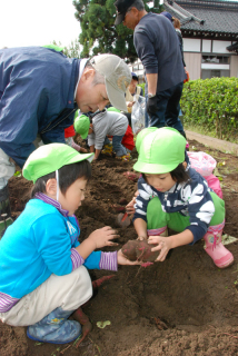 「どれどれ、どっちが大きい？」。掘り出したイモを比べる園児たち