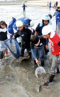 「逃げたぞ！」「そっちだ！」。児童たちが水をはね散らかしながら魚を追い掛けた