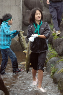 ずぶぬれになりながらもサケを捕った子供たち