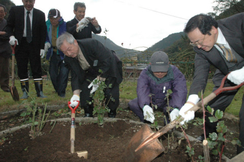 「殿様の薔薇」を植樹する参加者たち＝2日、鶴岡市湯温海のバラ園