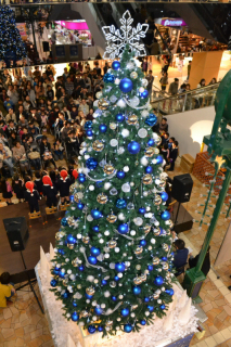 キラキラと輝くツリーが登場し、一足早くクリスマスシーズンの到来を告げている