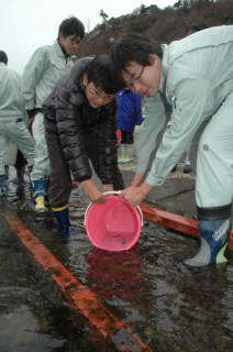 水高生と共にクロダイを放流する児童