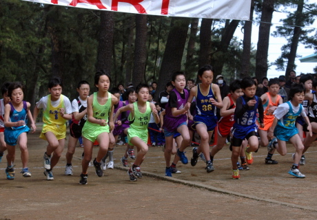 松林の中を駆け抜ける選手たち