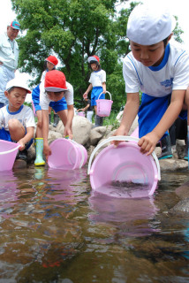 児童たちがアユの稚魚を放流。「大きくなってね」と声を掛けた