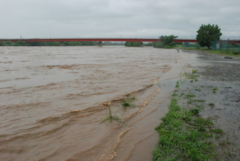 水位が上がり、濁流がグラウンドの縁まで押し寄せた鶴岡市の赤川＝18日午前10時半ごろ、羽黒橋付近