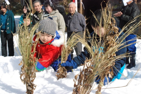 雪原に稲わらなどを差して豊作を願う雪中田植えを行った