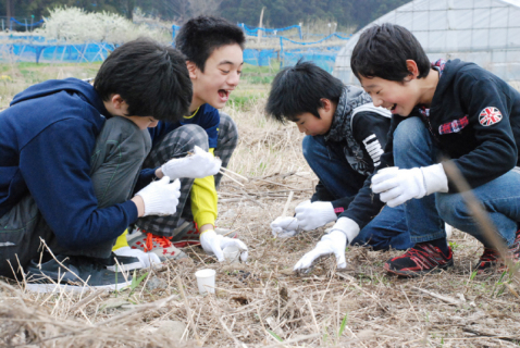 被災地にヒマワリの種を送る作業の第一歩として楽しそうに種をまく小学生たち