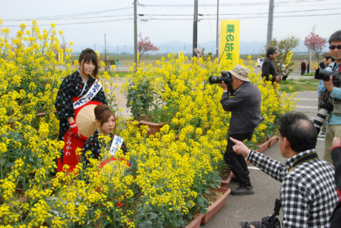 大勢のアマチュアカメラマンでにぎわった恒例の「菜の娘」撮影会