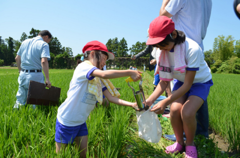 田んぼから土を採取した