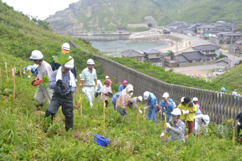 油戸海岸を望む丘陵地で、魚の森づくりに向けた植樹などの活動が行われた