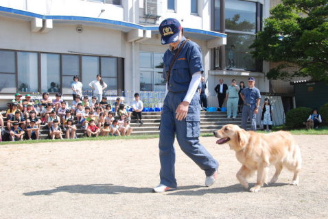 さまざまな訓練を披露する嘱託警察犬の姿を児童たちが見守った