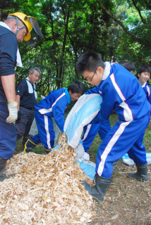 悠々の杜の遊歩道に木質チップを敷く酒田一中の生徒たち