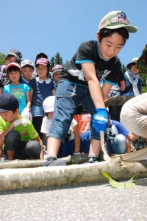 五十川小の子どもたちがシナノキの皮剥ぎに挑戦した