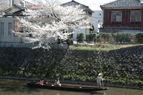 家族連れなどが木舟に乗り、川下りを楽しんだ