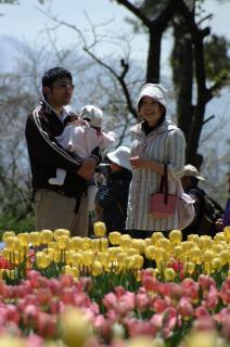 チューリップが見ごろを迎え、大勢の行楽客でにぎわった＝3日