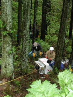 大山地区住民が旧加茂坂の不法投棄物を回収した